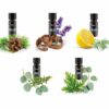 Aromatherapie Starterset – 5 Geuren voor Energie & Ontspanning