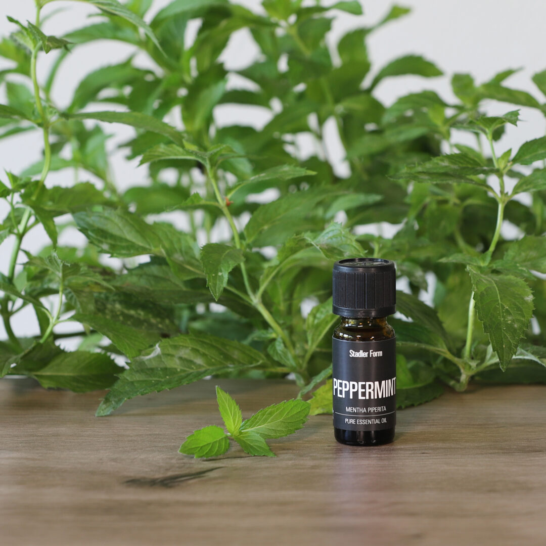 Etherische olie | Peppermint - Afbeelding 3