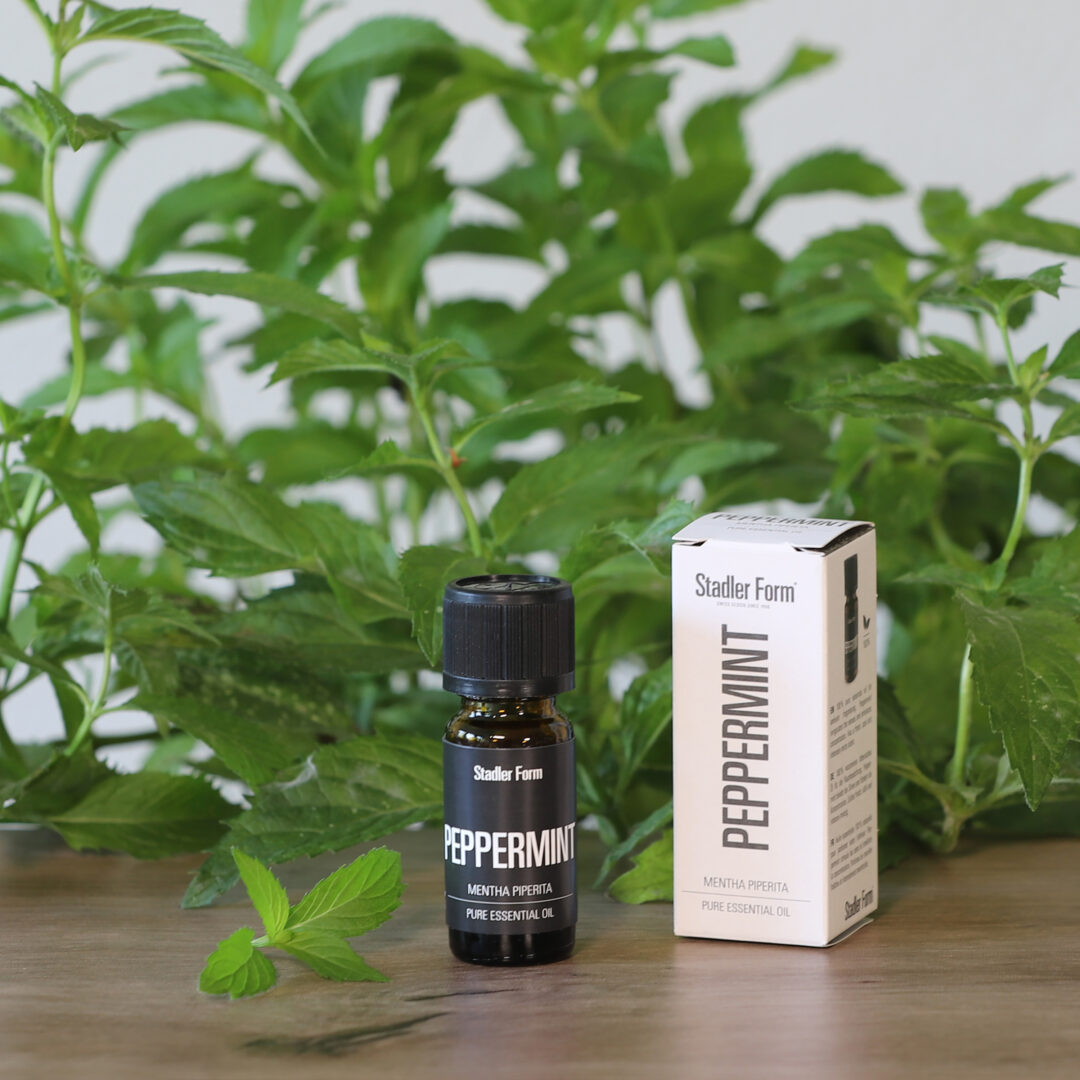 Etherische olie | Peppermint - Afbeelding 4